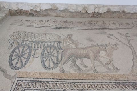 ORB- Mosaïques au numéro, 51044